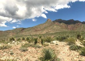 Vista Hermosa Retreat