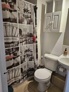 Lindisimo departamento en el centro de Santiago Cercano a Parque O Higgins