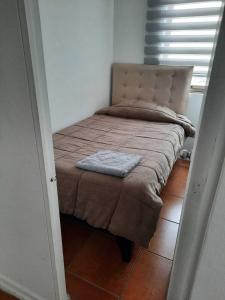 Lindisimo departamento en el centro de Santiago Cercano a Parque O Higgins