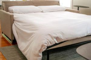 151 Spring Downtown Eureka Springs Suite A