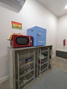 Spring Wish Upon a Star