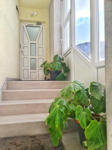 Vila Aleksandra 2 Apartman 10