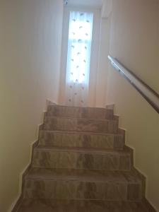 apartament Karla Indigo