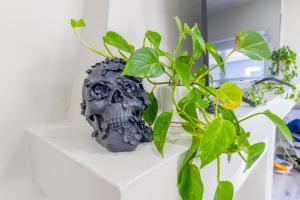 2BR Retreat Near Balboa Park