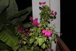 Entire terrace Penthouse - Near Manyata Tech Park