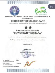 Down Town Timisoara