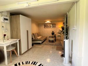 Chill Apartment Lake View