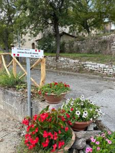 At Nonna Marias house