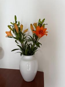 Residenza Il Castello Uno e Due img18