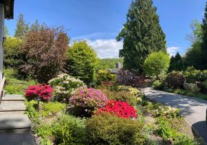 The Shades - Bliss In The Heart of Windermere