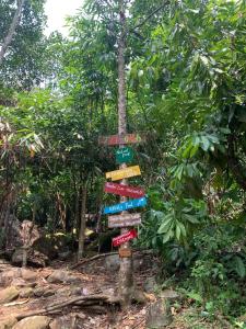 Triloka Dorm by The Offbeat Crew