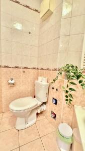 Madonna Queen Apartment - 3 rooms, Garage