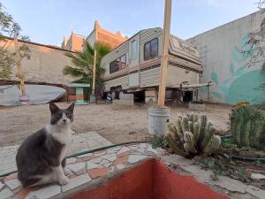 Peaceful and Cozy Camper in the City Center with Private Patio