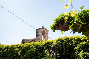 Beautiful house in Orosei img32