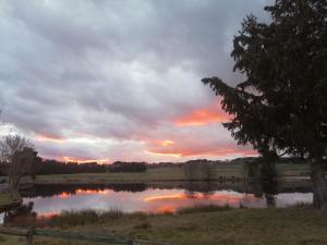 Appartements Etang et moulin : photos des chambres