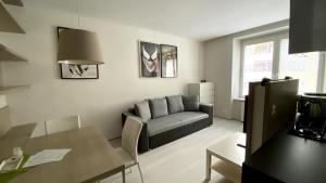 Comfortable apartment in Brno