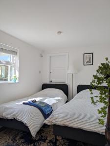 Garden studio near sea