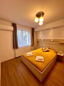 Central Apartment Bucharest Mosilor