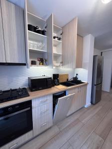 Central Apartment Bucharest Mosilor