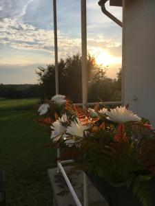 Holiday house Mernye