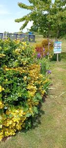 Maisons de vacances Tranquille Vienne Gites a Chirac dept Charente : photos des chambres