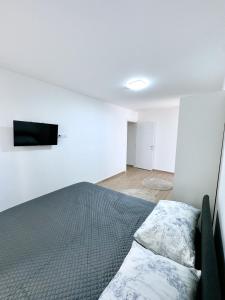 Appartements Coeur d-Albertville - Hyper Centre- Gare a 800 m : photos des chambres