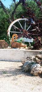 Un piccolo sogno