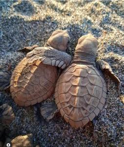 Safio. Una casa en el paraiso.