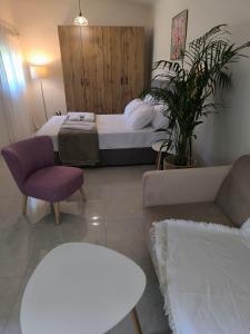 Araucaria studio Manis