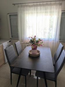 Araucaria studio Manis