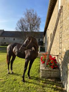 B&B / Chambres d'hotes Ferme fortifiee d Enguenard : photos des chambres