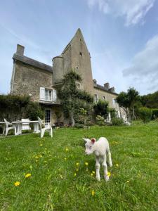 B&B / Chambres d'hotes Ferme fortifiee d Enguenard : photos des chambres
