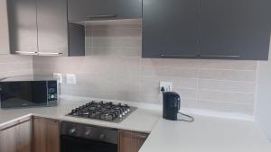Generous Apartment at Waterfall