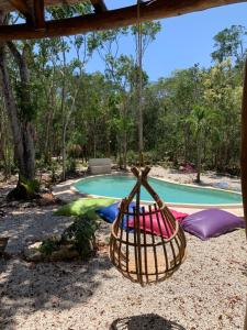 The Jungle House, Sacbé