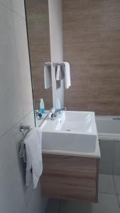 Generous Apartment at Waterfall