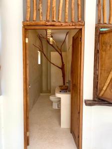 The Jungle House, Sacbé