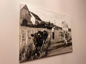 Eifelchateau - Peace, nature and relaxation