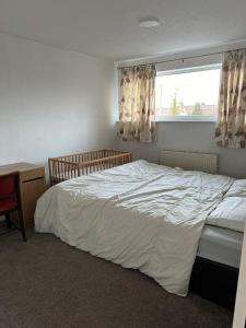 Cozy apt with good location