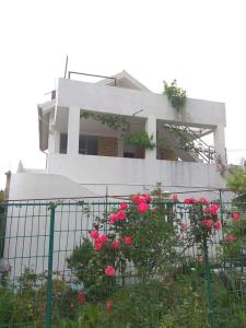 Apartments M1 Pine tree