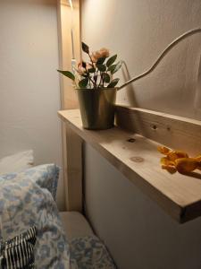 Blue Mango Surf House Center