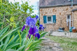 Maisons de vacances Les Petites Plumes : photos des chambres