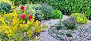 Apartment Vega with private garden, terrace and garage