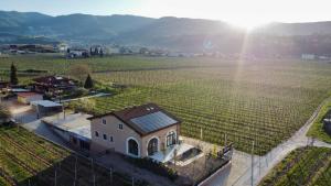 Agriturismo Igino - Camere nei Vigneti della Valpolicella