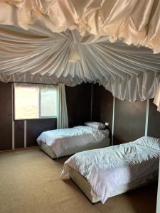 My X wadirum