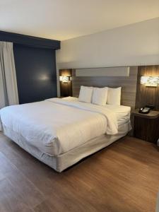 Standard King Room room in Comfort Inn Denver Central