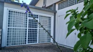 Studio Amplo e Próximo ao Centro de Eventos em Bento Gonçalves