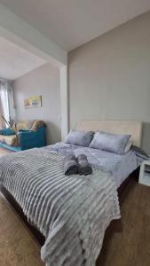 Studio Amplo e Próximo ao Centro de Eventos em Bento Gonçalves