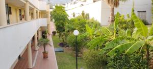 Modern 2 bedroom Penthouse with huge private roof top terrace,free parking and free WIFI