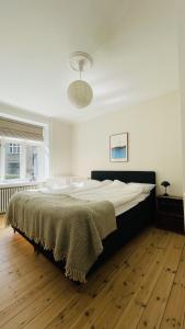 ApartmentInCopenhagen Apartment 1696