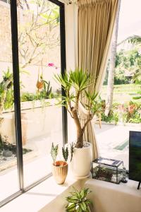 Dzen Greenfield Villa 8